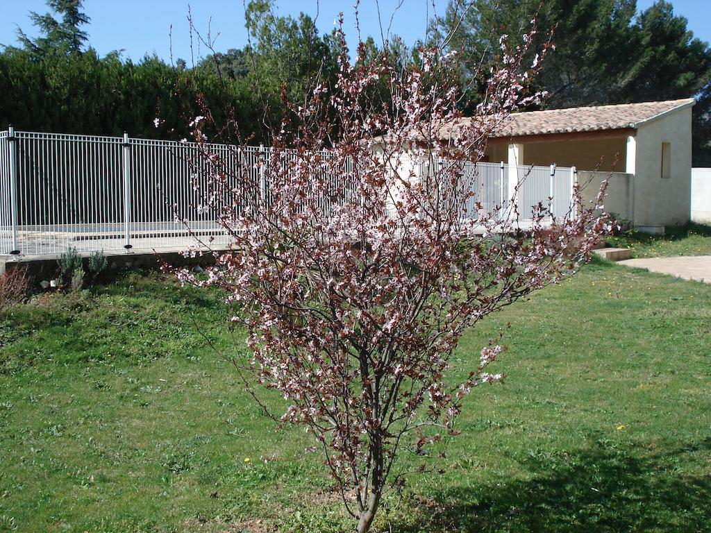 B&B L'Oustalet De Sylvie Villeneuve-lès-Avignon Exteriör bild